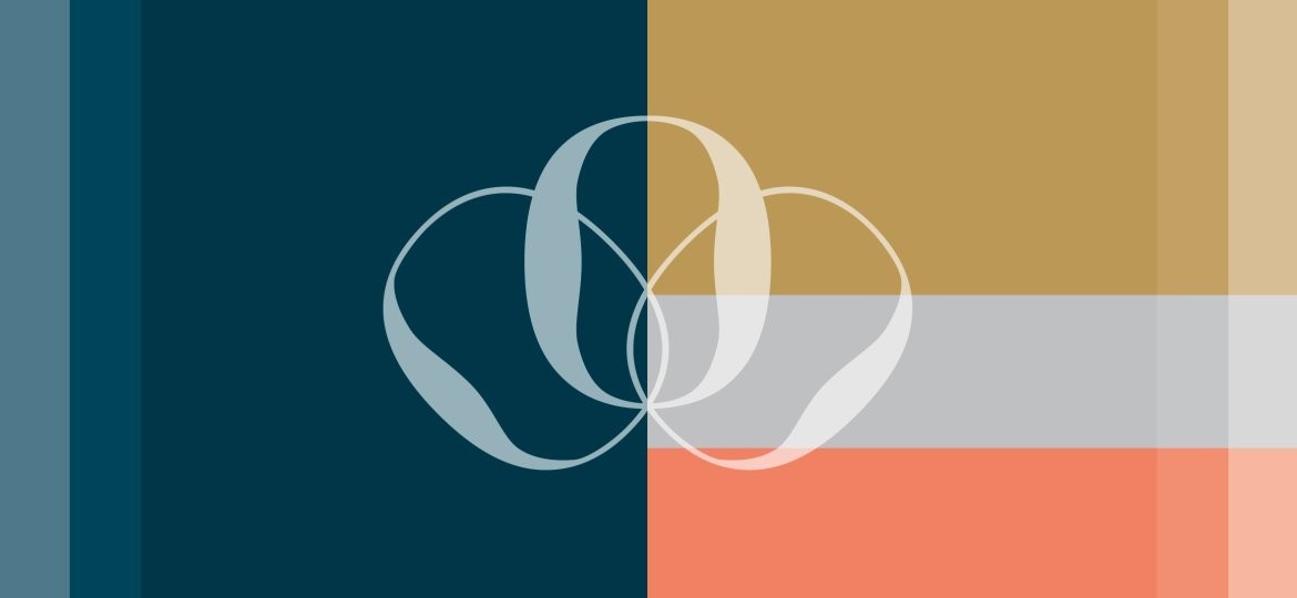 rexkyoo visuel identitet case farver